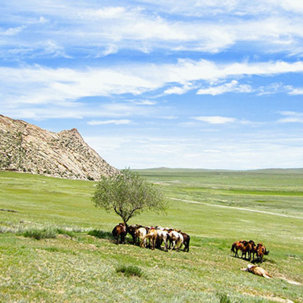 Uvs lake | Uvs Mongolia | Western Mongolia | Zavkhan